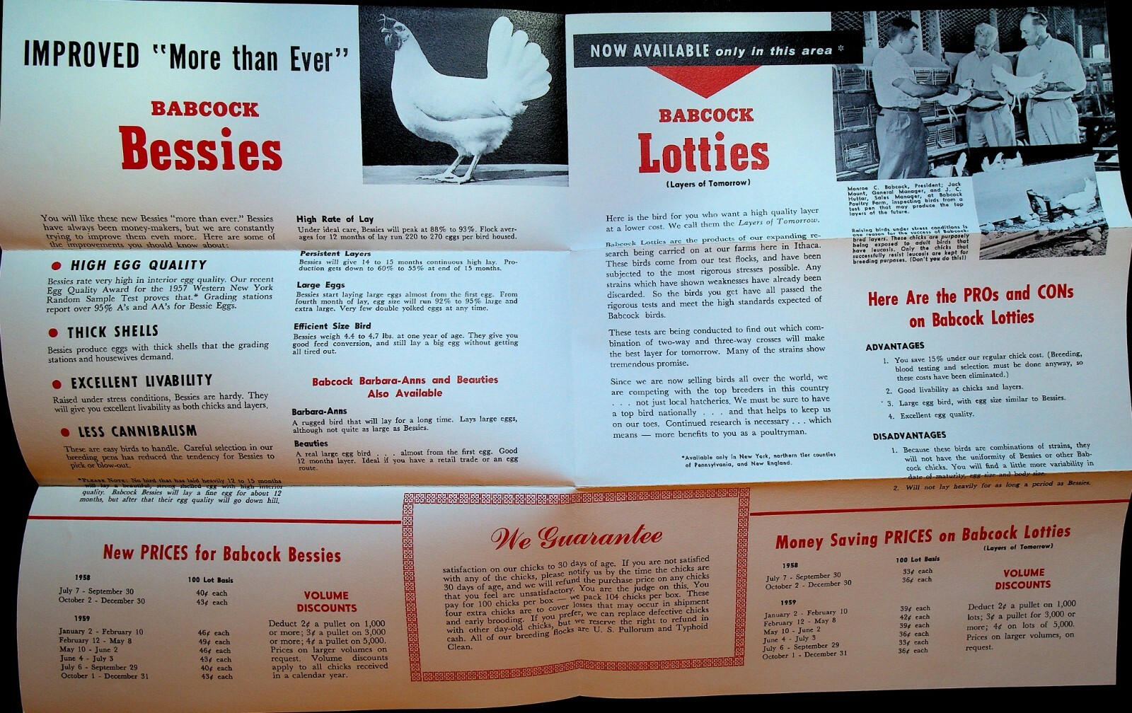 Babcock Poultry Farm Ithaca NY Ad Brochure Hens Babcock Bessies Lotties 1958
