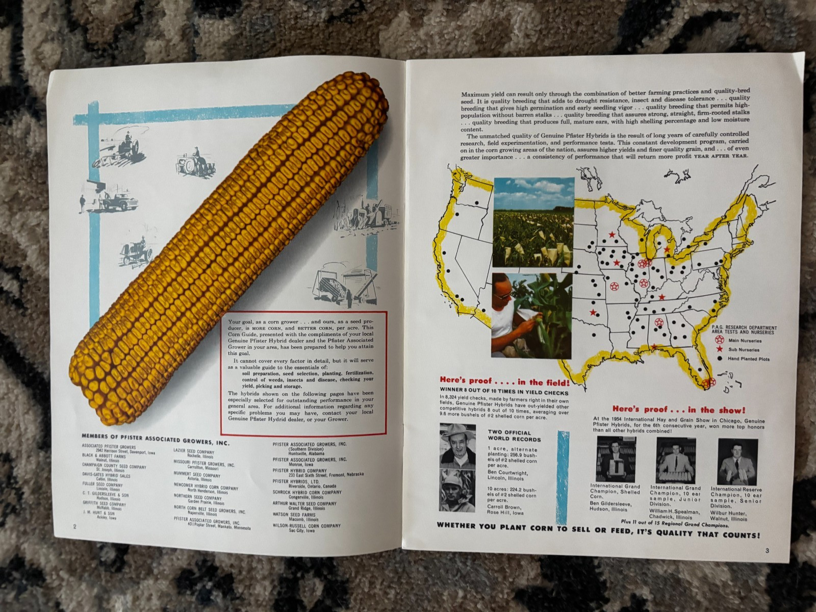 Pfister Hybrids Corn Guide For 1955 Brochure DCPA26
