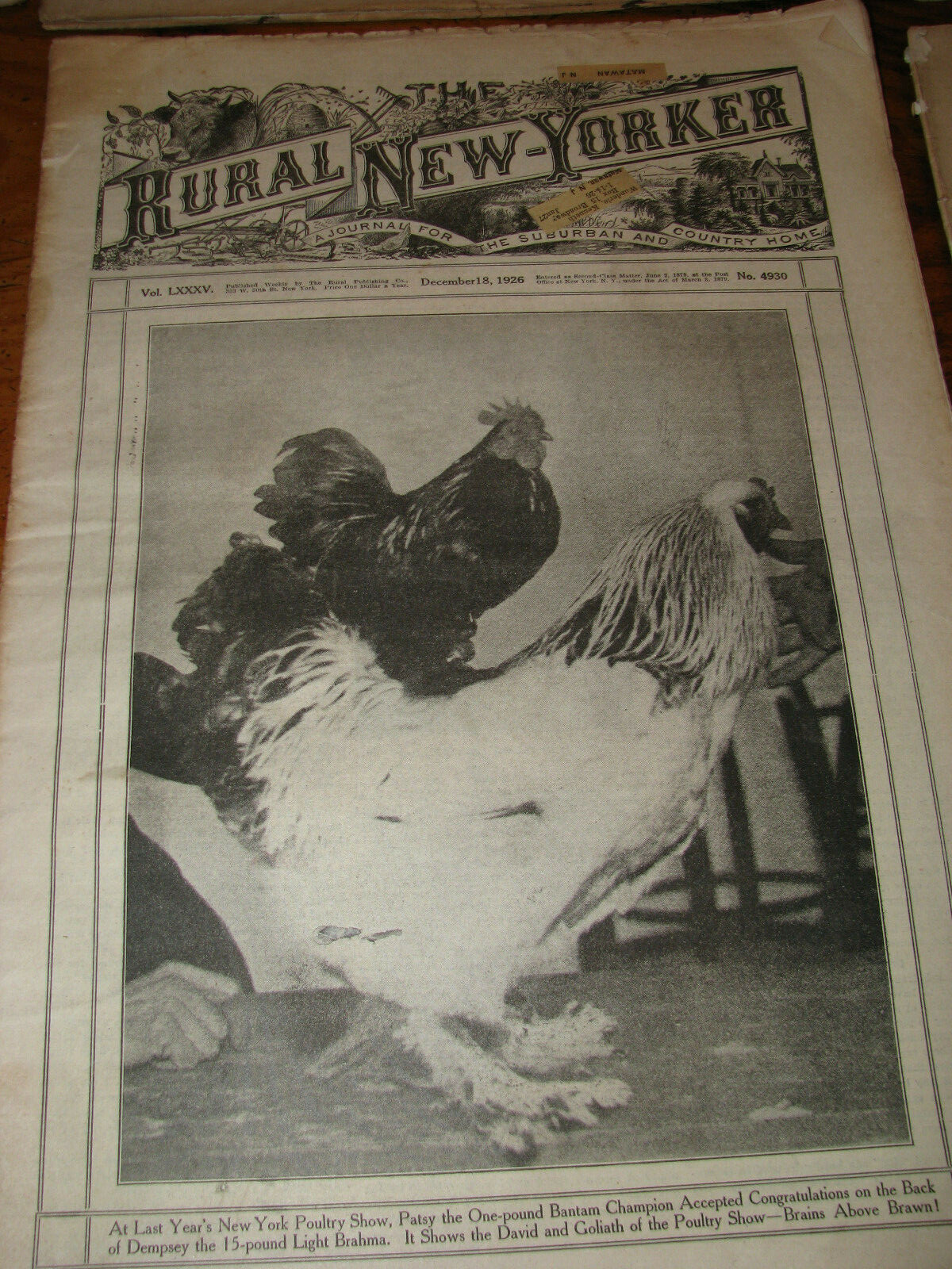 Eleven Vintage 1923-1941 The Rural New Yorker Journal Newspaper
