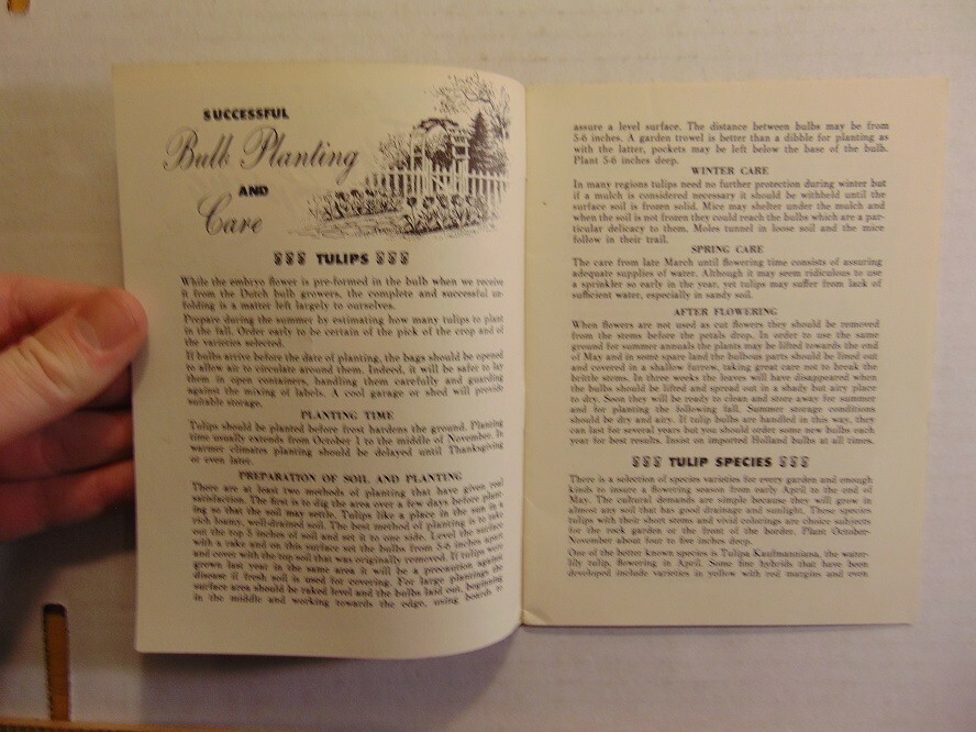 Vintage The Joy of Spring In Home & Garden Associated Bulb Growers of Holland