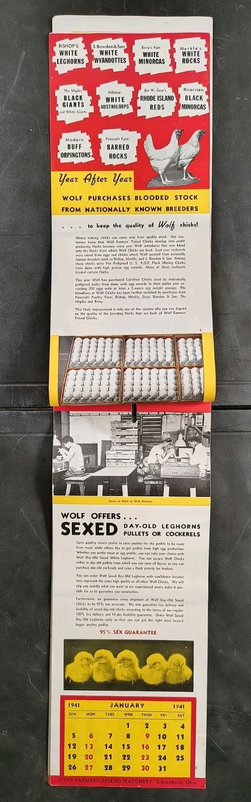 1941 Wolf Baby Chicks Catalog Calendar Sale Brochure Chicken Farming Advertising