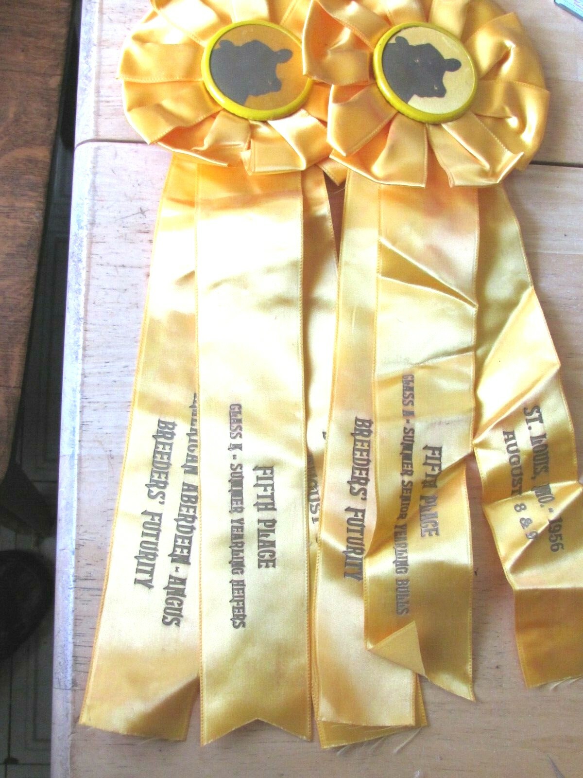 1956 ST LOUIS ABERDEEN ANGUS BREEDERS FUTURITY SHOW AWARD 2 RIBBONS