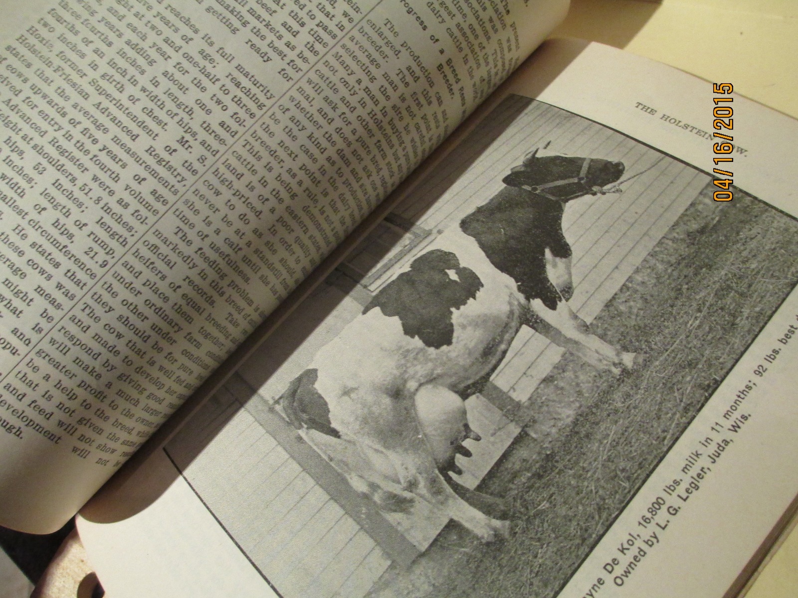 1909 WISCONSIN FARMERS INSTITUTE BULLETIN- VINTAGE AGRICULTURE BOOK SOFT COVER