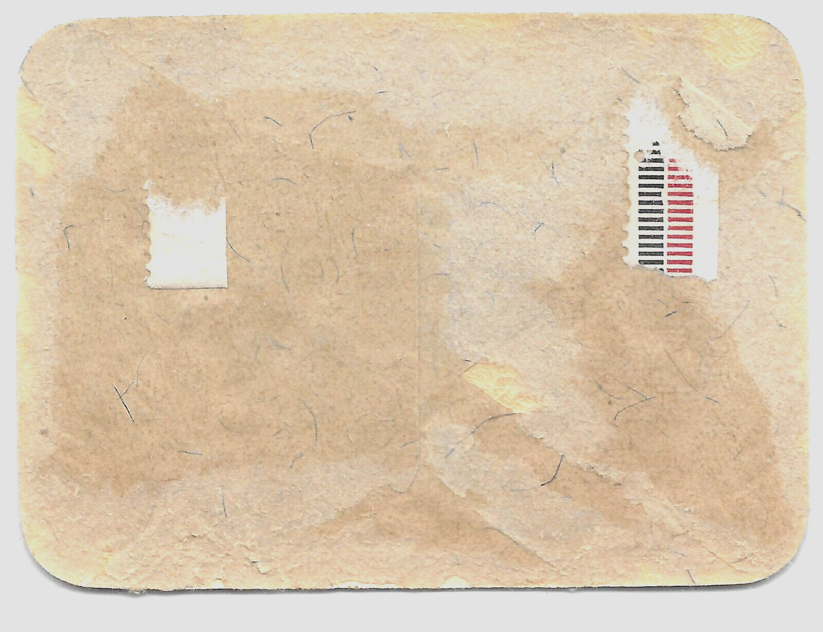 GERMANY🔥AGRICULTURAL EXHIBITION Mannheim 1902 Embossed AD Poster STAMP MH VF