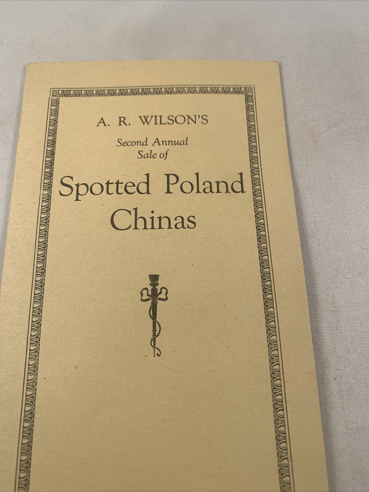1922 Hog Sale Brochure Wilson’s Prolific Poland China Pig Farm Darlington MO