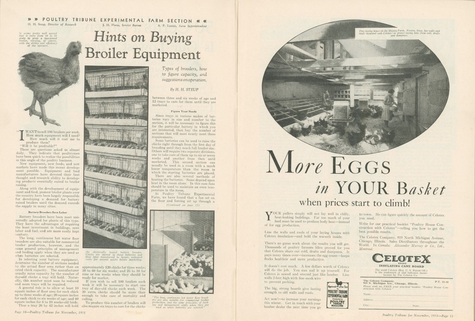 1931 November Poultry Tribune Chicken Farm Eggs Coop Chick Advertising Magazine