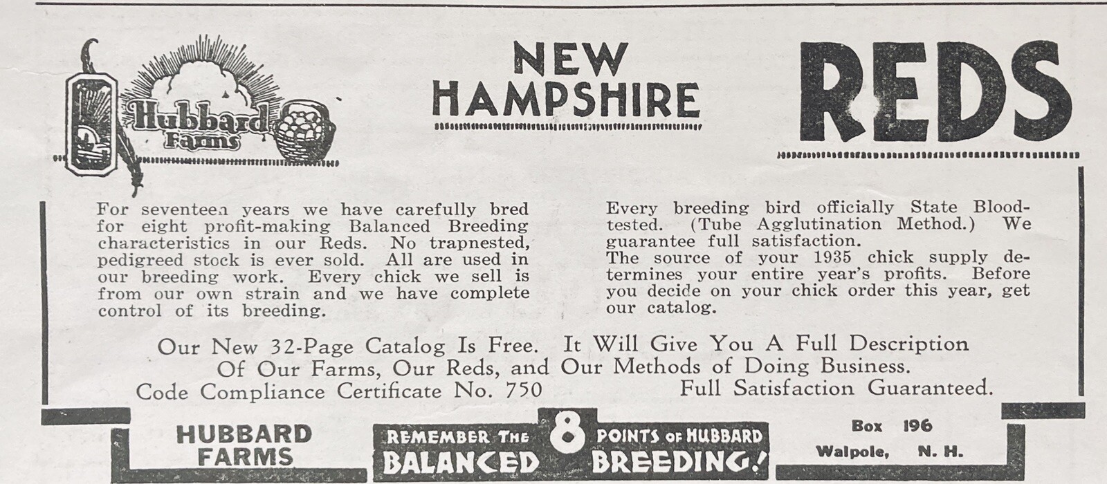 1935 AD.(XG2)~HUBBARD FARMS, WALPOLE, NH. NH. REDS FOR BALANCED BREEDING