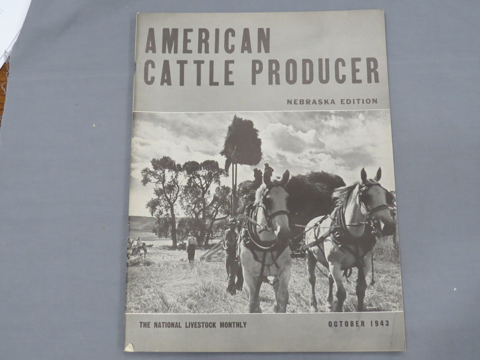 Vintage AMERICAN CATTLE PRODUCER Nebraska Edition Magazine 1943 October Hereford