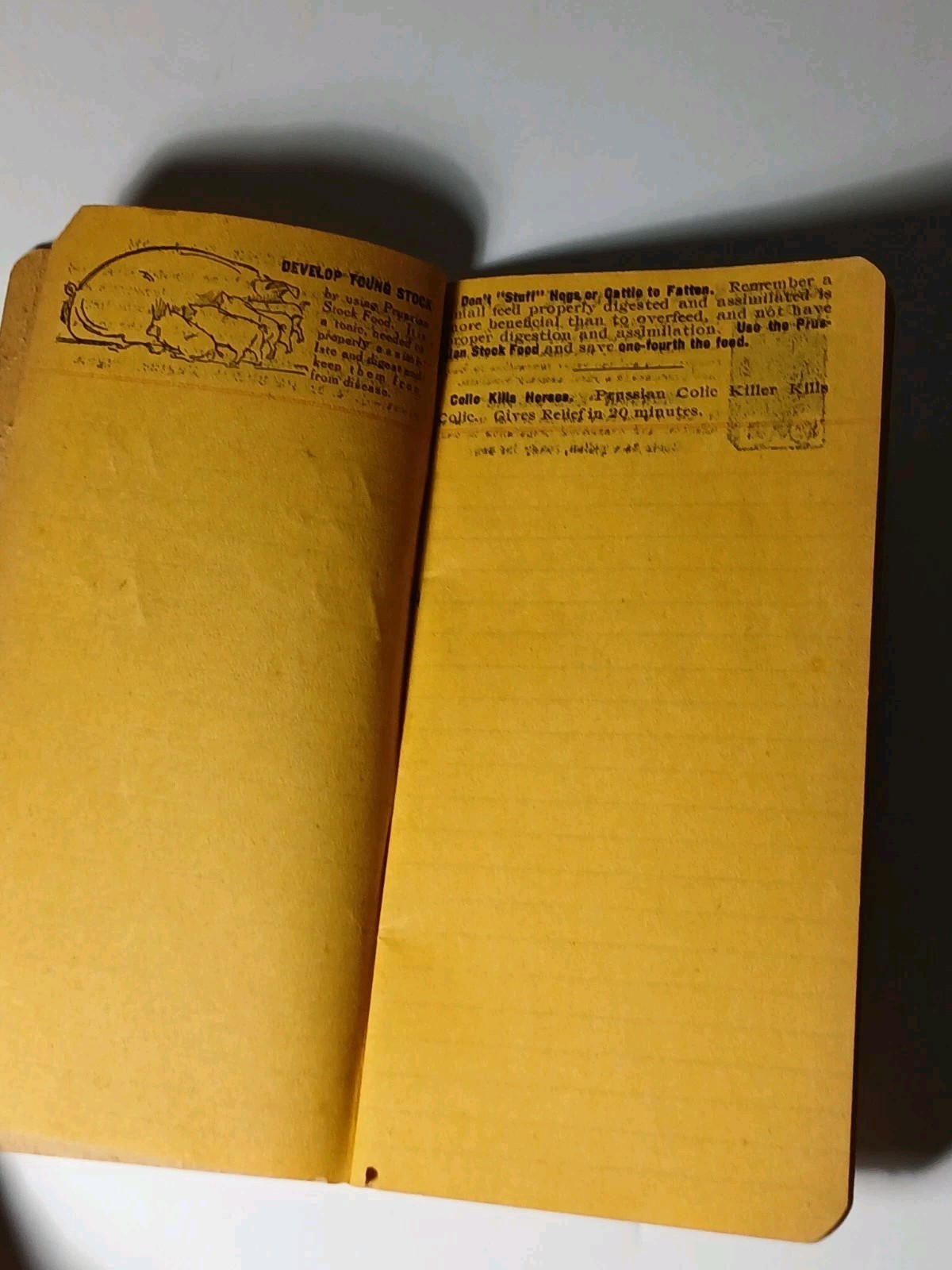 1906 Vintage Farm Ledger Prussian Food Advertising Cow Pig Sheep Horse Graphic