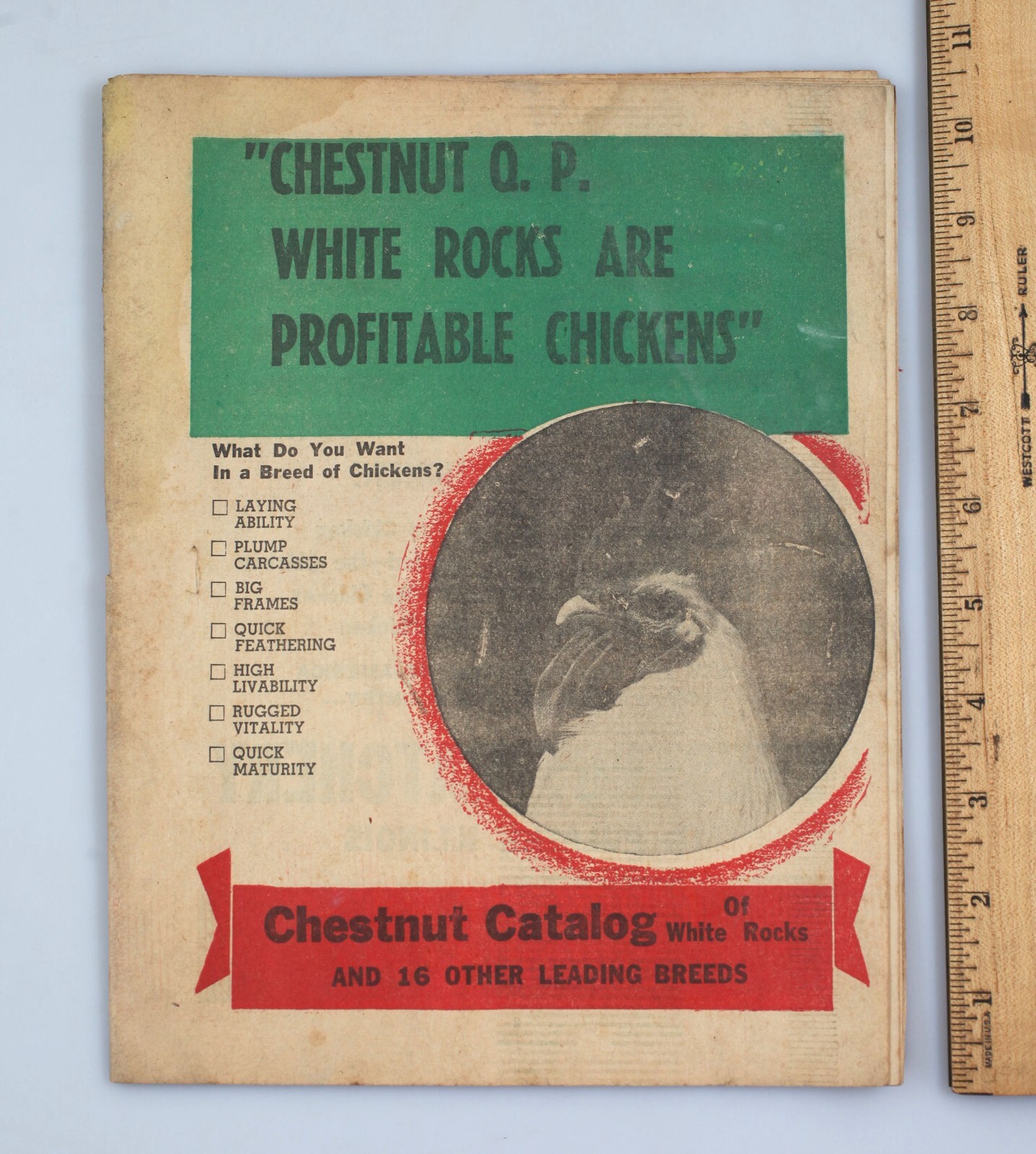 Vintage Newsprint Mailer Chestnut Hatchery Chicken Catalog Mt. Pulaski Illinois