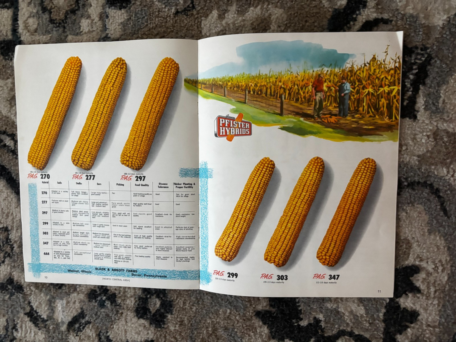 Pfister Hybrids Corn Guide For 1955 Brochure DCPA26