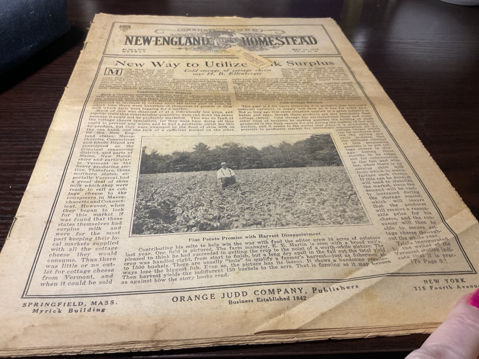 1919 New England Homestead Newspaper Farm Bureau Potato Harvest Tons Of Farm Ads