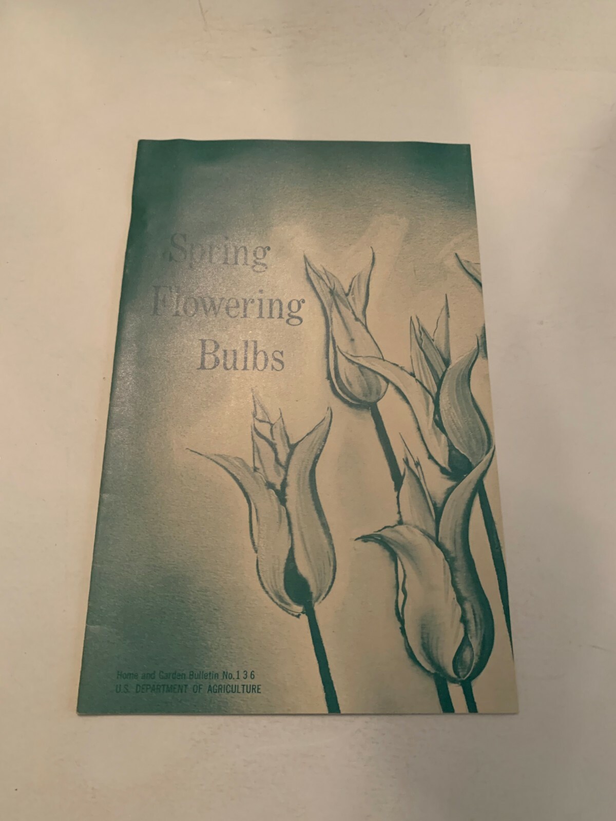 1968 Spring Flowering Bulbs US Department Of Agriculture Booklet