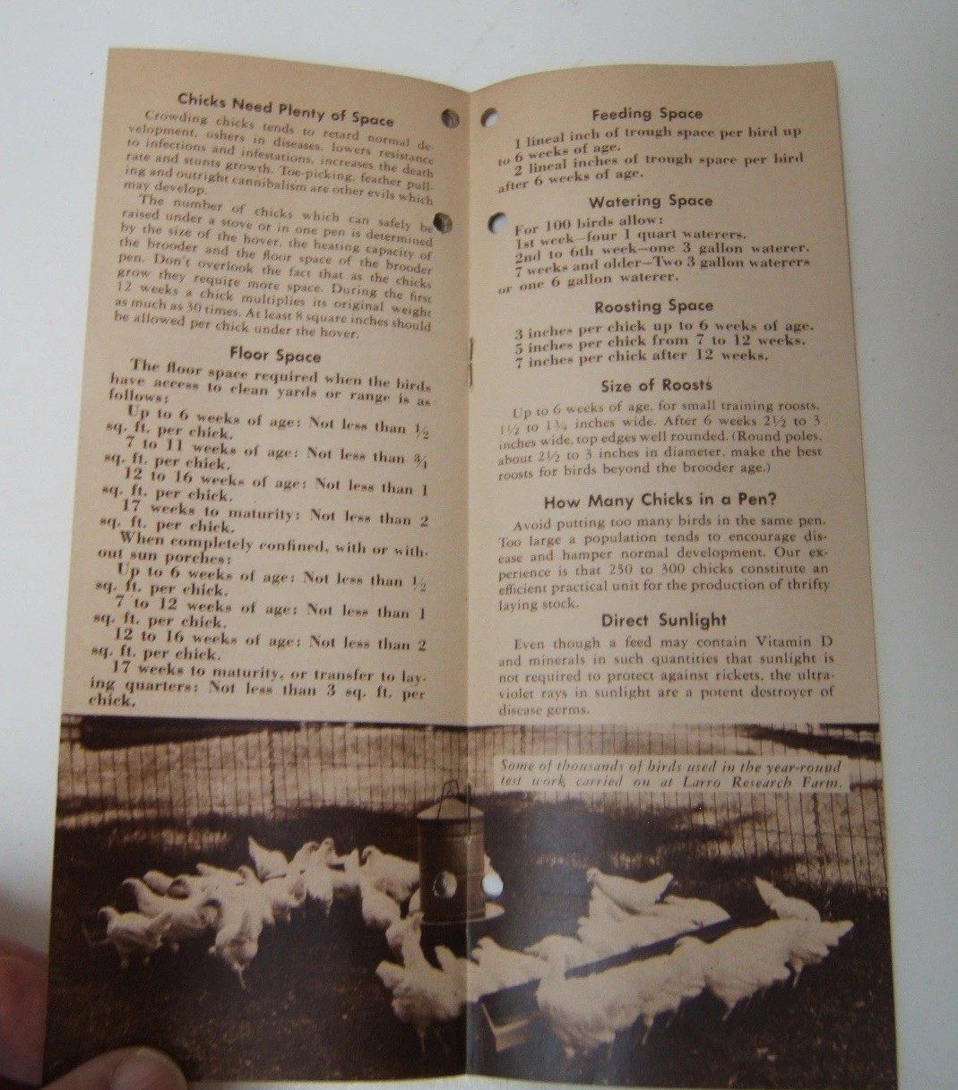 Vtg Larro Chick Book 1944 General Mills Booklet on Raising Chickens Illustrated