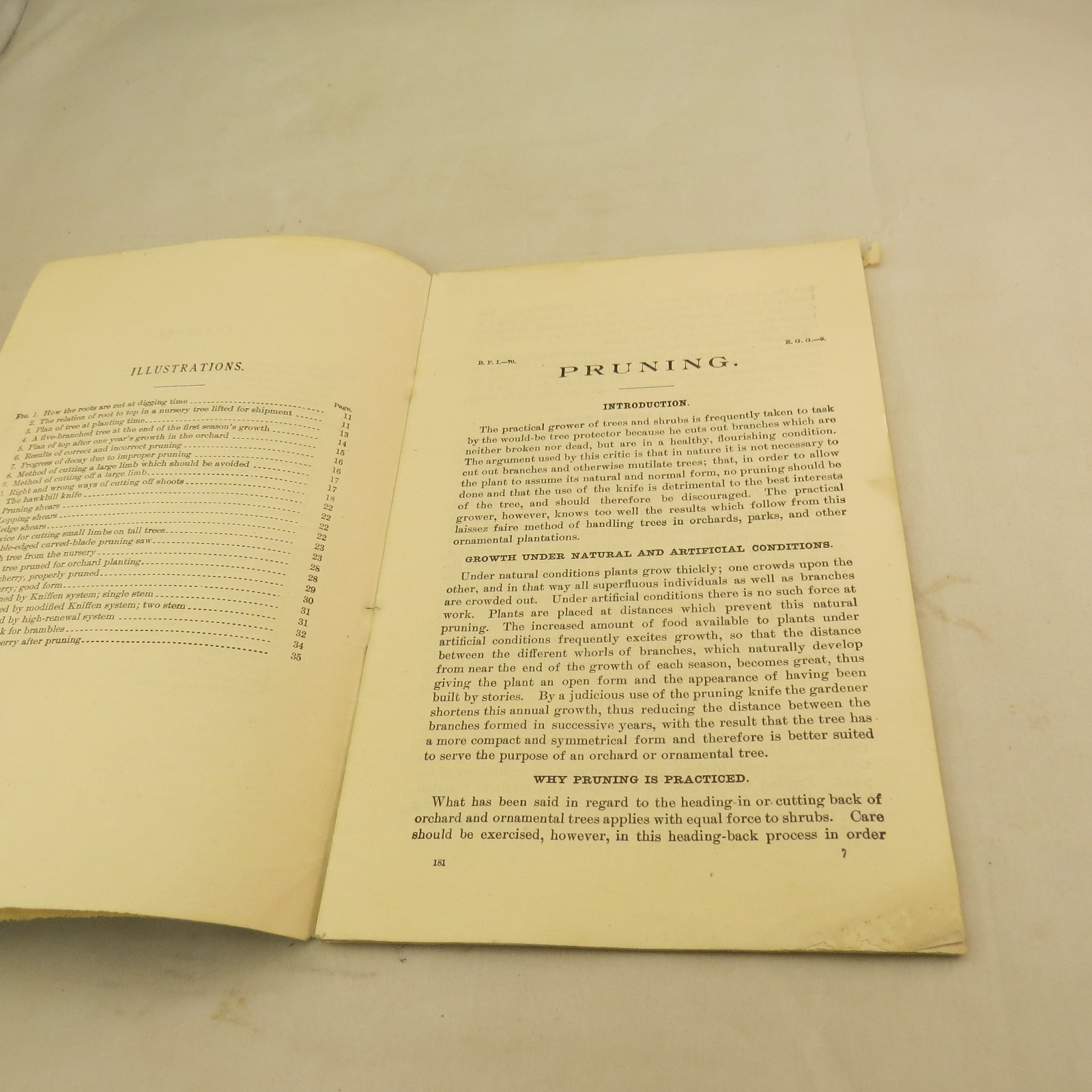 US Department of Agriculture, Farmers&rsquo; Bulletin No. 181 Pruning – 1916