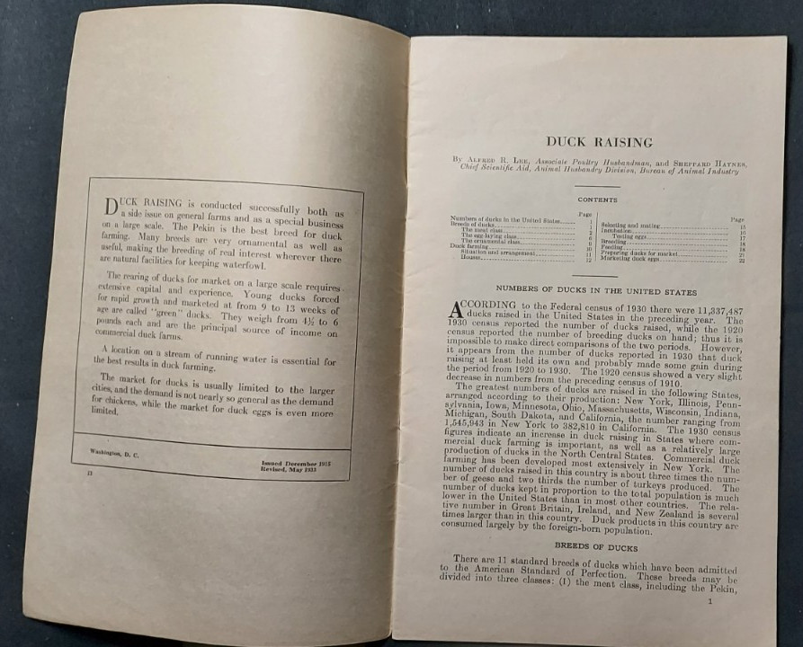 1933 US Department Agriculture Farmer&rsquo;s Bulletin 697 Duck Raising Marketing Eggs