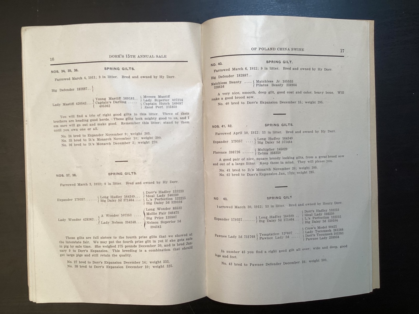 1913 Poland China Sows Sale Catalogue, Henry Dorr, Marcus IA