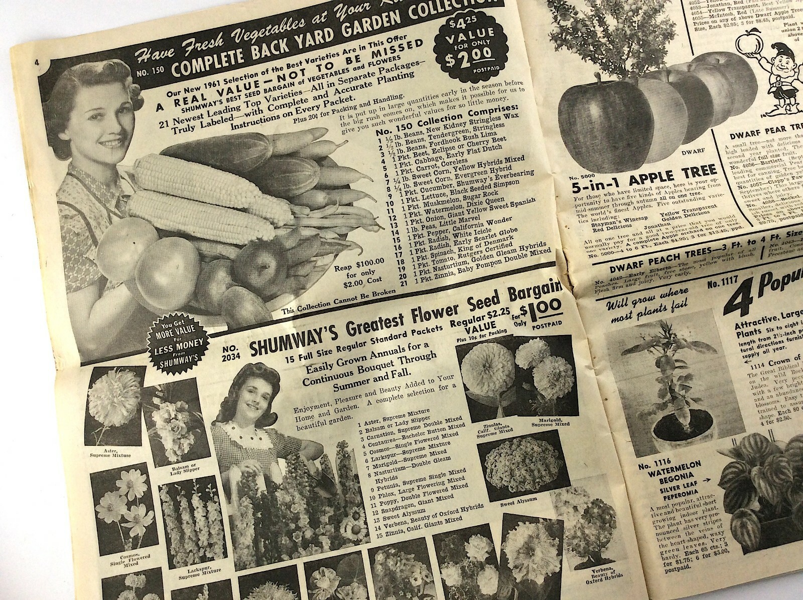 RH Shumway Seedsman Rockford Illinois 1961 Plant Garden Seed Catalog Q381