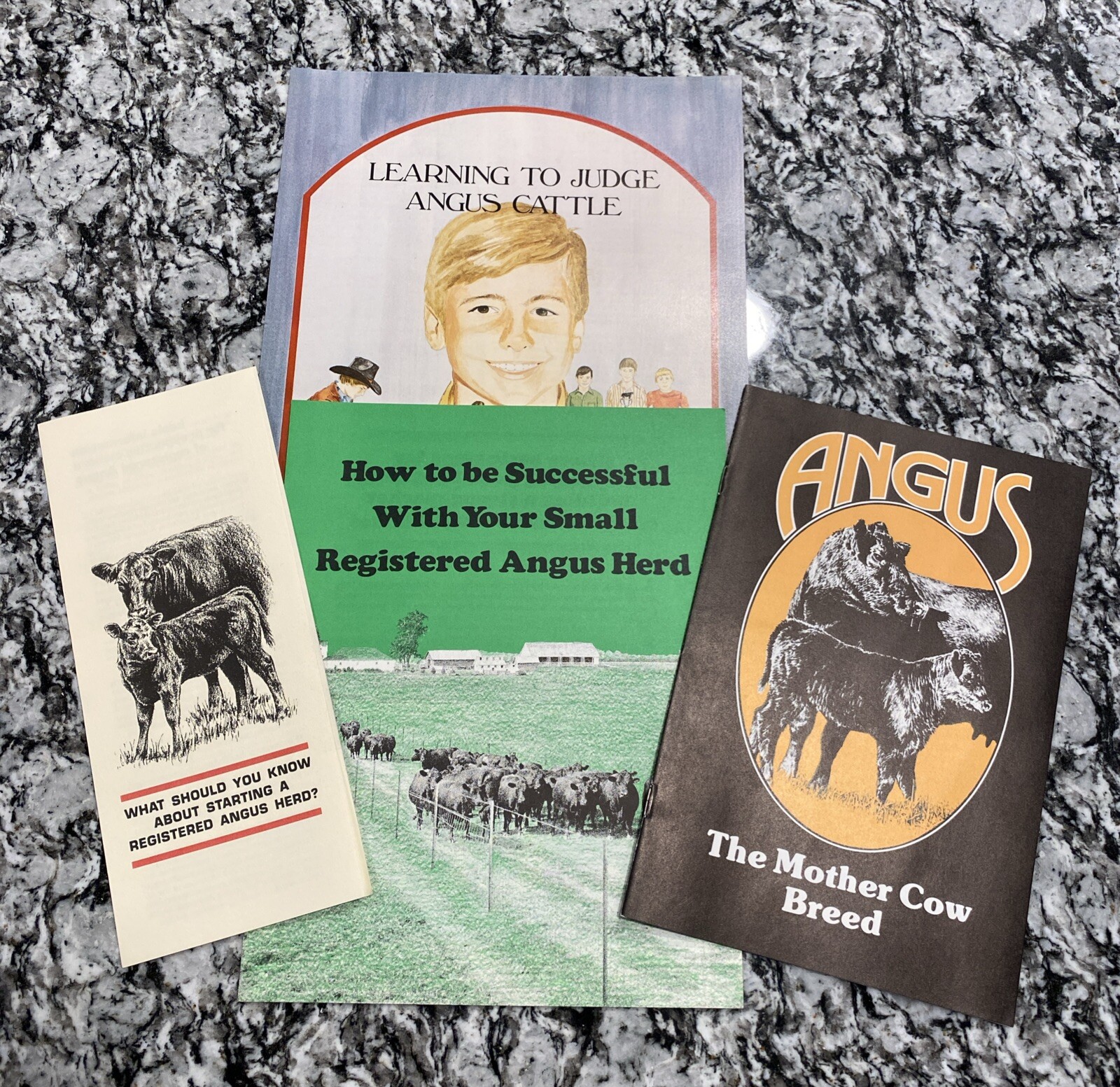 🔴🔵Lot of 4, RARE, Vintage, American Aberdeen Angus Association Pamphlets🔴🔵