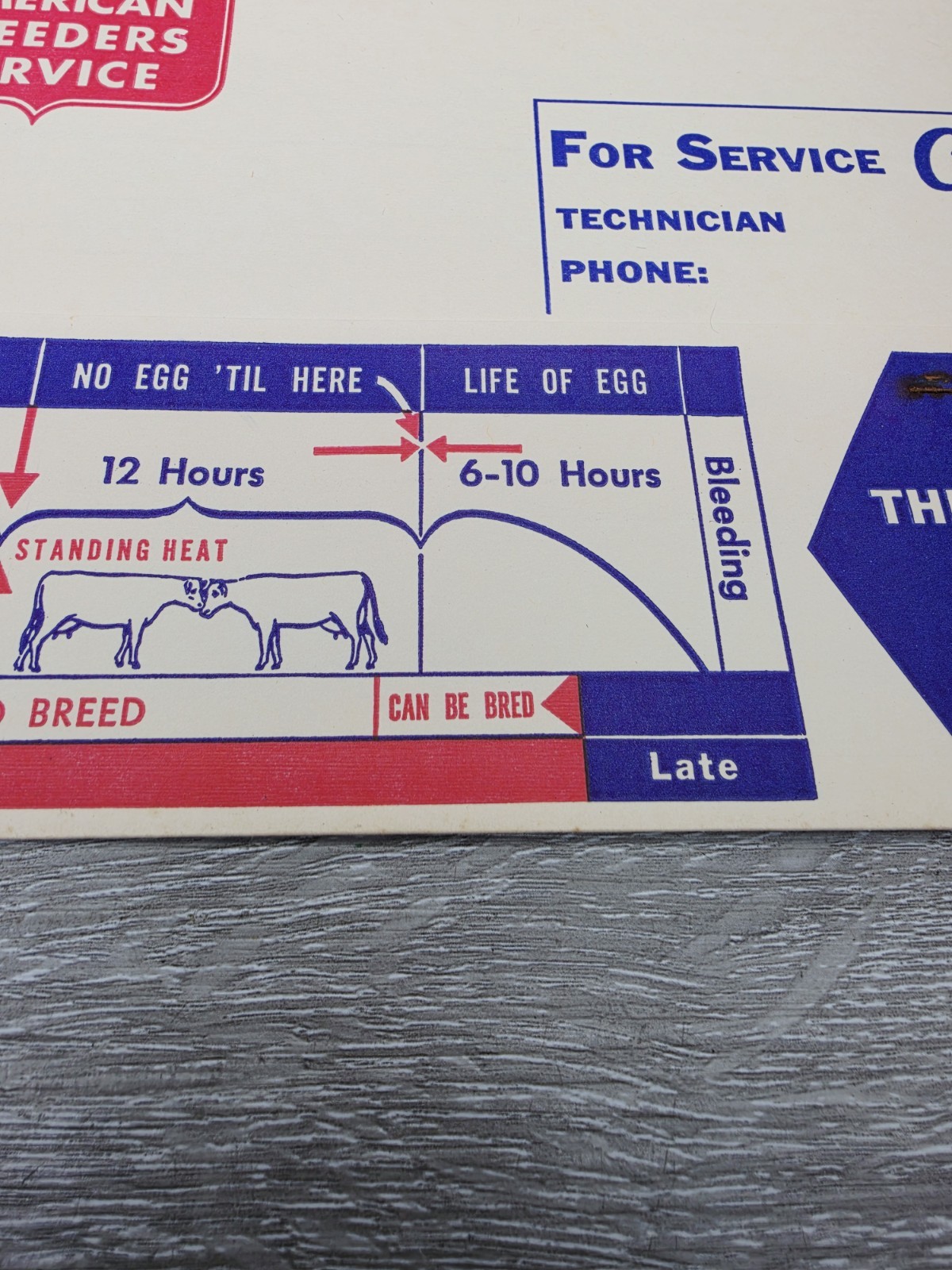 Rare 1957 American Breeders Service Folder Cow Breeding Schedule NOS Advert