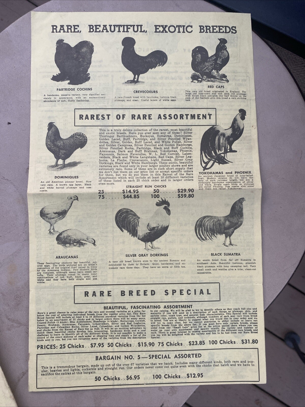 Vintage Murray McMurray Webster City Iowa catalog with price List & Mailer 1974