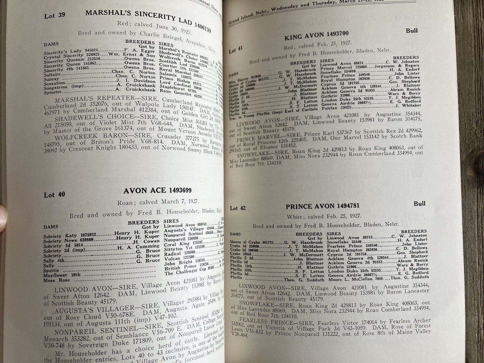 RARE Vintage 1928 Nebraska State Shorthorn Breeders’ Annual Show & Sale Cows