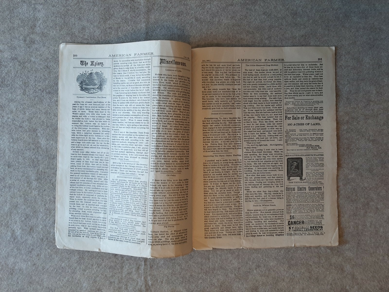 Jan. 1888 AMERICAN FARMER Magazine Fort Wayne Indiana No. 1 Vol. 8 Galloway Bull