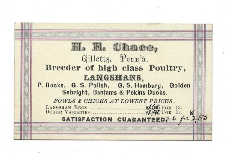 Old Business Card HE Chace Gilletts PA Poultry Langshans Ducks Chicks Prices