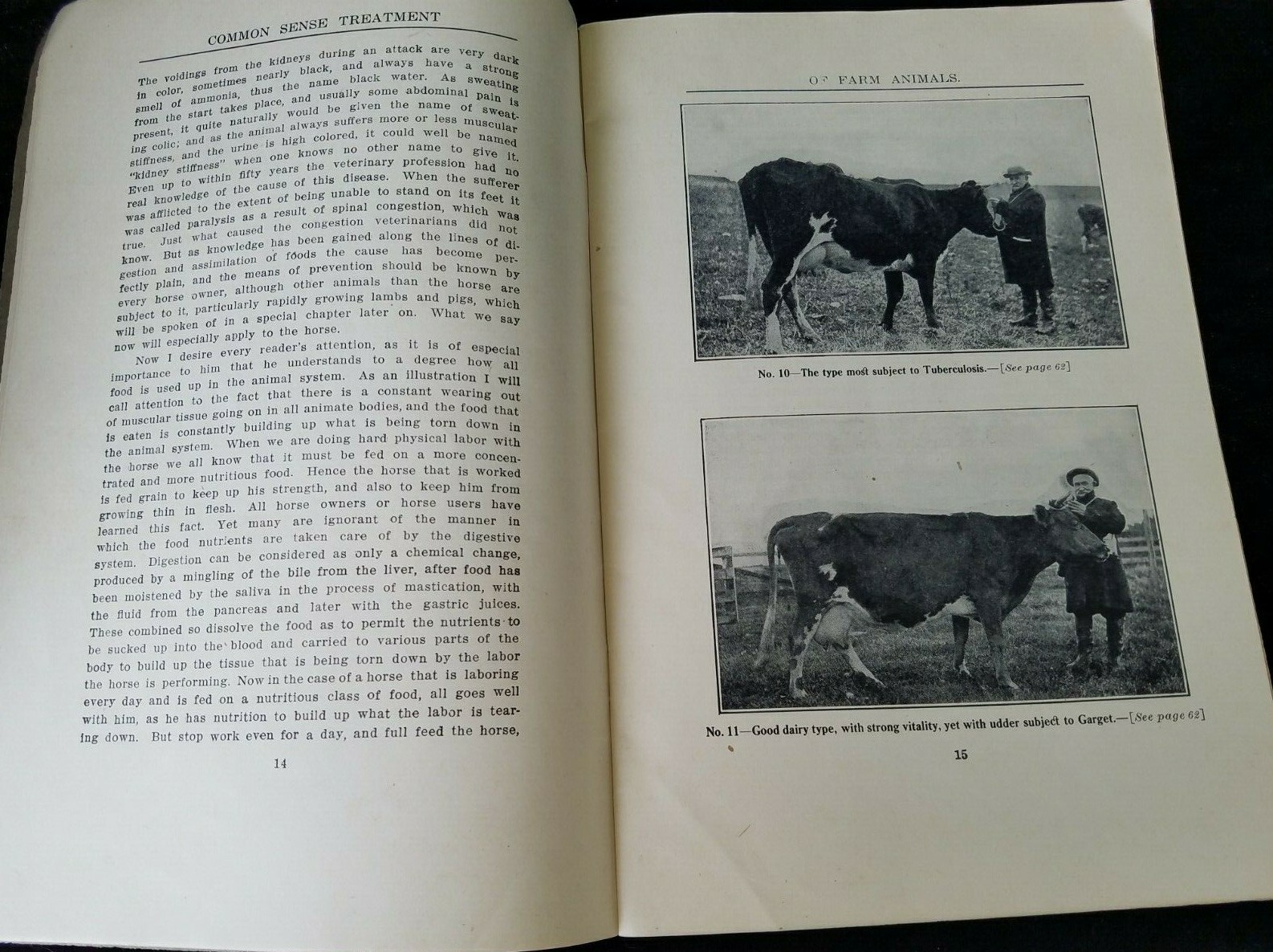 1911 Common Sense Treatment Farm Animals CD Smead National Stockman & Farmer