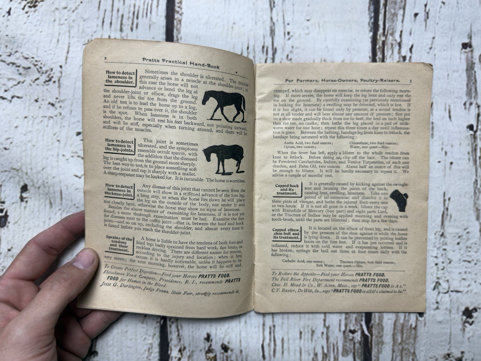 VTG Pratts Hand Book For Farmers Horse Owners Dairymen & Poultry Keepers Book
