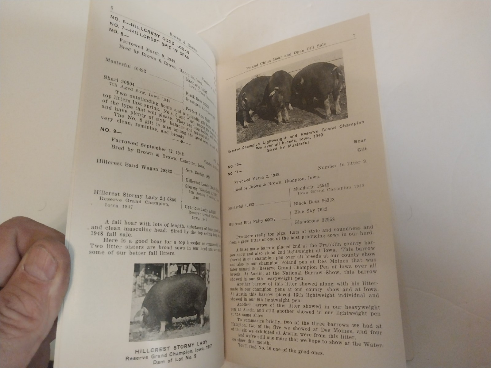 Brown & Brown – Poland China boar & gilt sale brochure 10/12/1949 Hampton, Iowa