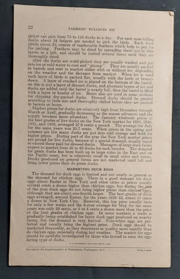 1933 US Department Agriculture Farmer&rsquo;s Bulletin 697 Duck Raising Marketing Eggs