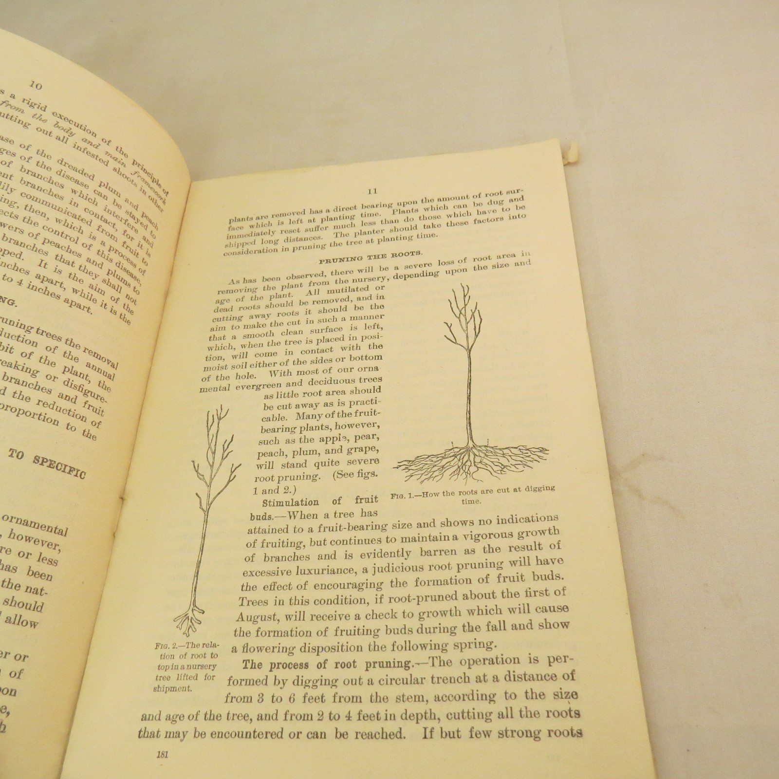 US Department of Agriculture, Farmers&rsquo; Bulletin No. 181 Pruning – 1916