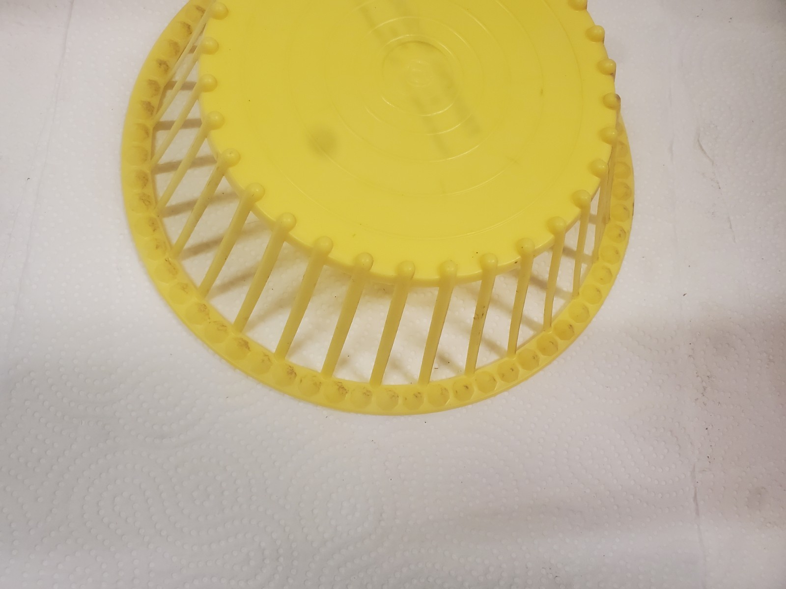 9&Prime; Yellow Plastic Basket Farmers Produce Kanawha Iowa Harold Assink Chicks Feeds