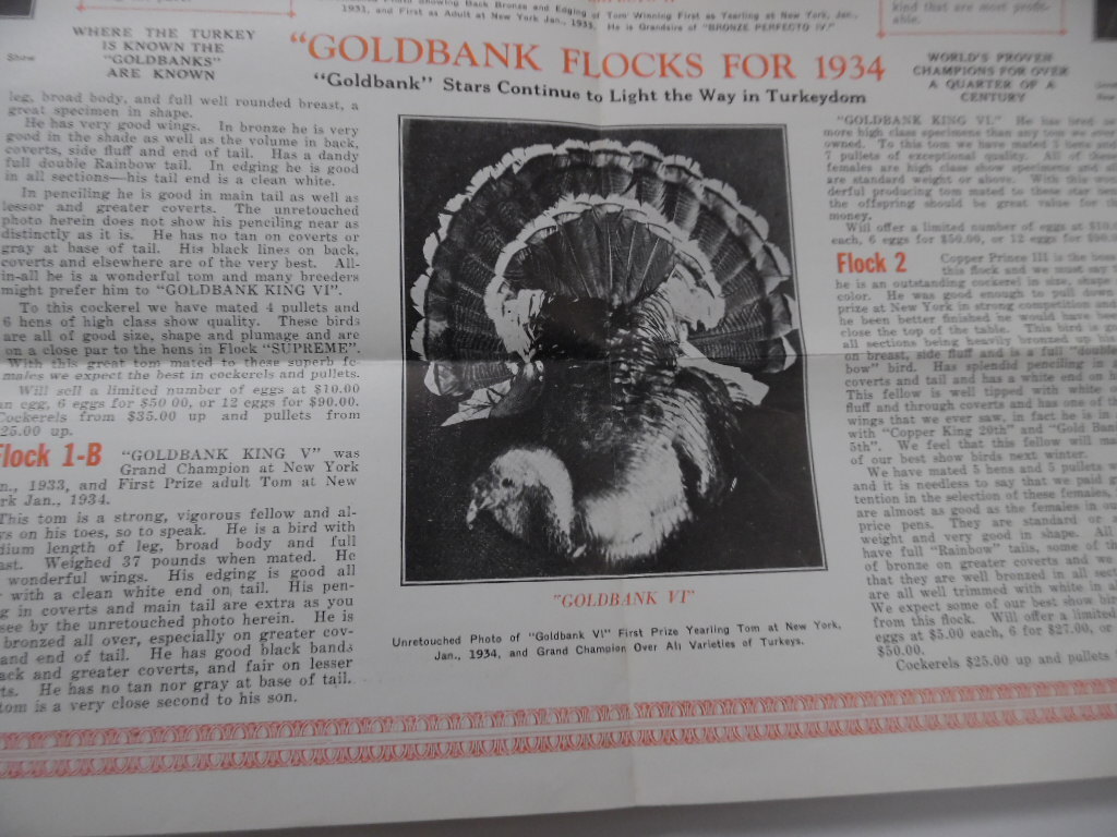 1934 Goldbank Giant Bronze Turkey Brochure Bird Bros Meyersdale Poultry Vintage