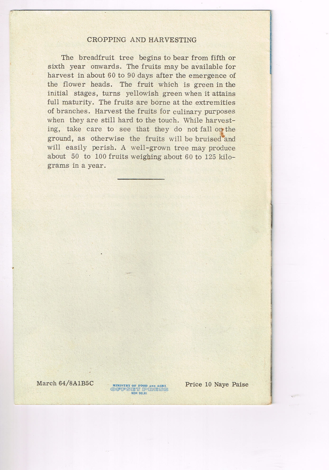 Vintage 1960s Farm Brochure India New Delhi Growing the Breadfruit Tree