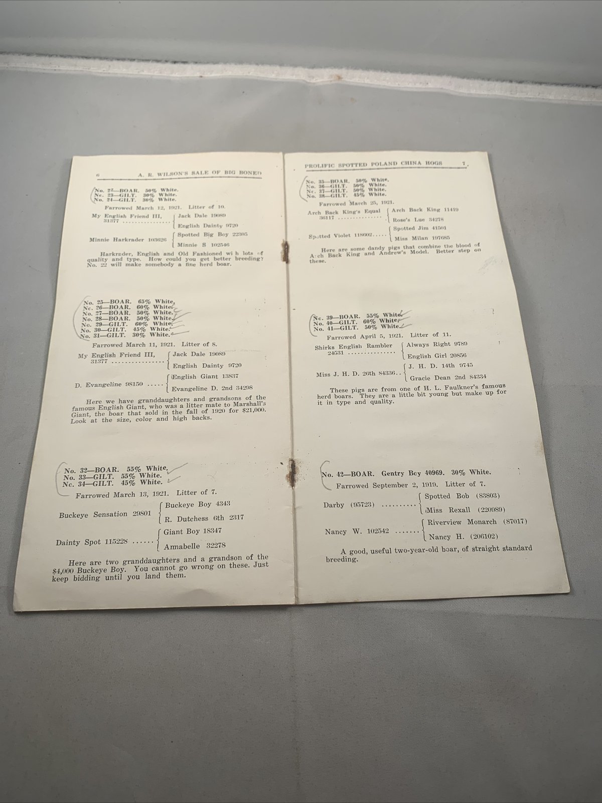 1921 Hog Sale Brochure Wilson’s Big Boned Prolific Spotted Poland China Pig
