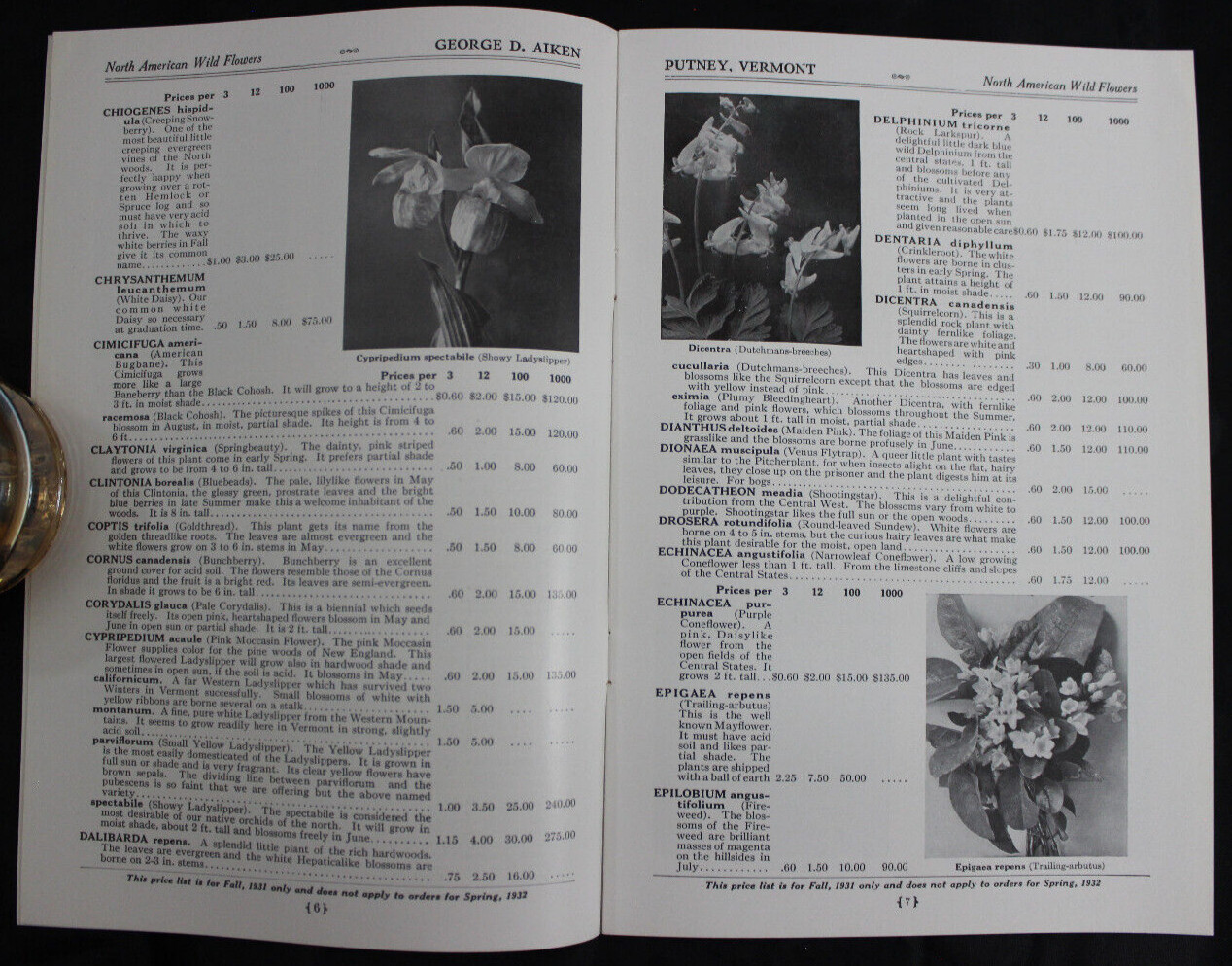 1931 NATIVE NORTH AMERICAN FERNS & WILD FLOWERS CATALOG, GEORGE AIKEN, PUTNEY VT