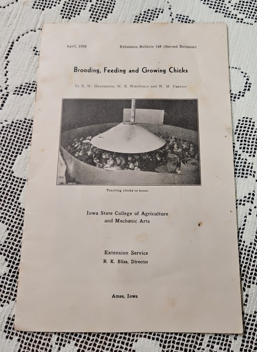 1936 Brooding Feeding & Growing Chicks Iowa State College Ames Iowa Ag Brochure