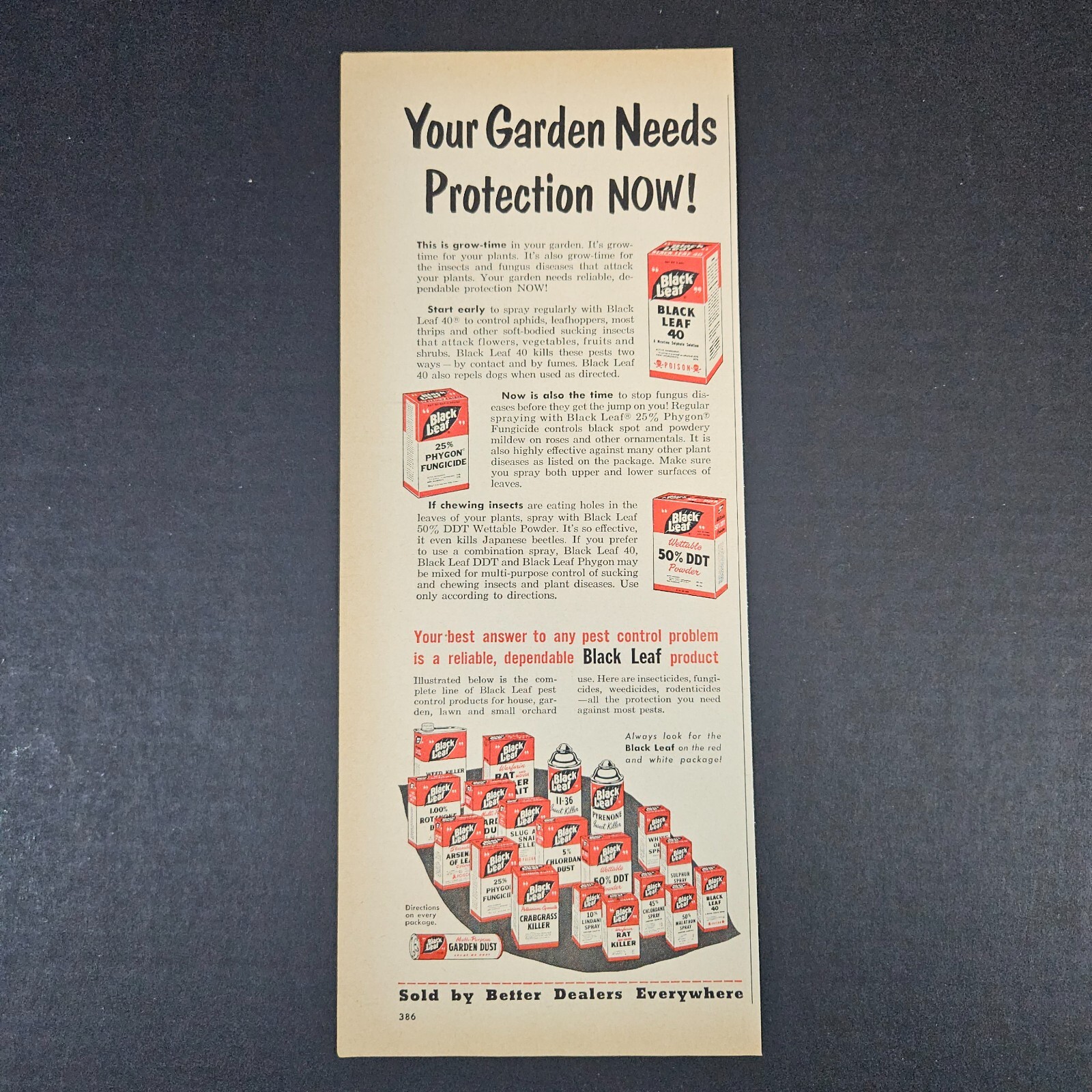 1953 Black Leaf Pest Control Vintage Print Ad Garden Dust DDT Phygon Weed Killer