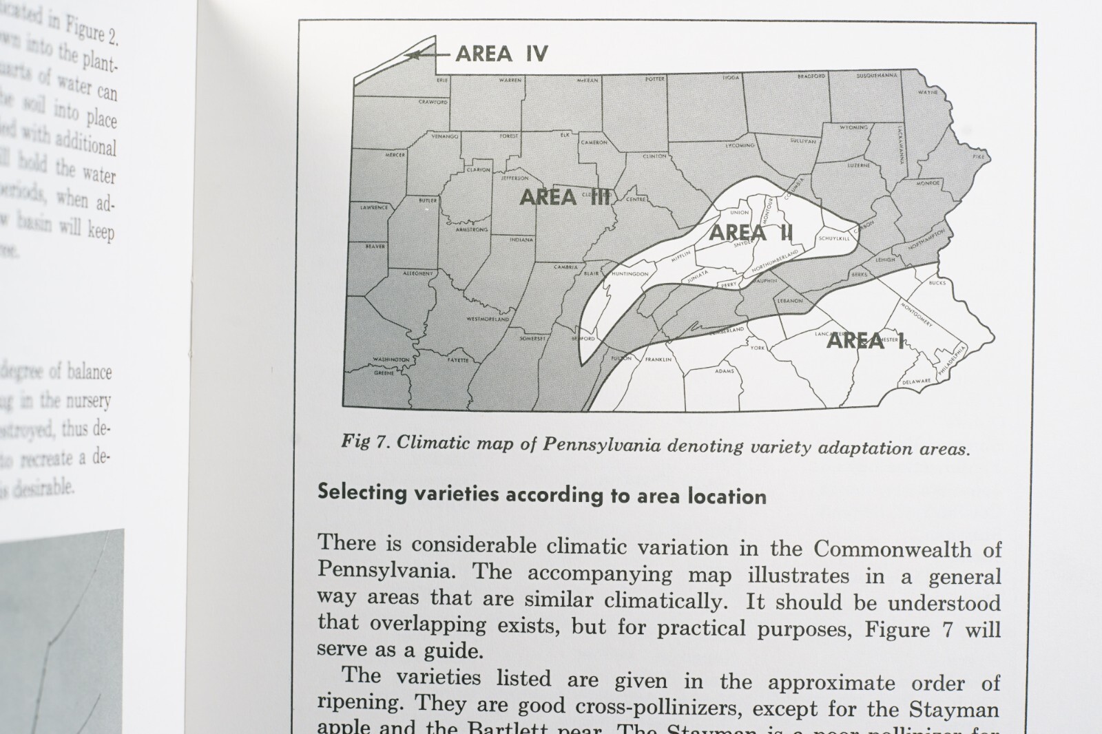 PA State University Tree Fruits for Home Gardener Circular 543 Vintage Brochure