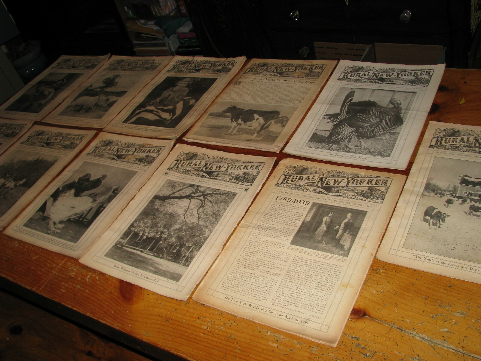 Eleven Vintage 1923-1941 The Rural New Yorker Journal Newspaper