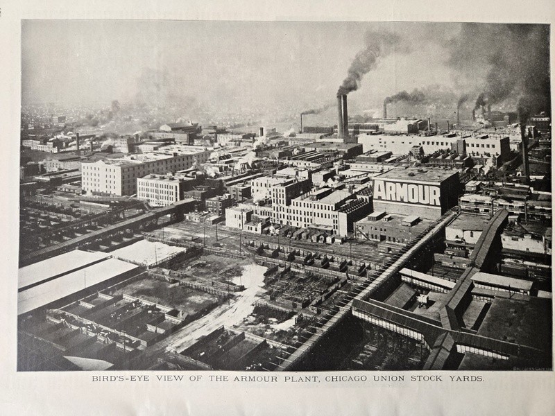 Nov 13, 1901 Breeder&rsquo;s Gazette Weekly Union Stock Yards Intl Exposition Chicago