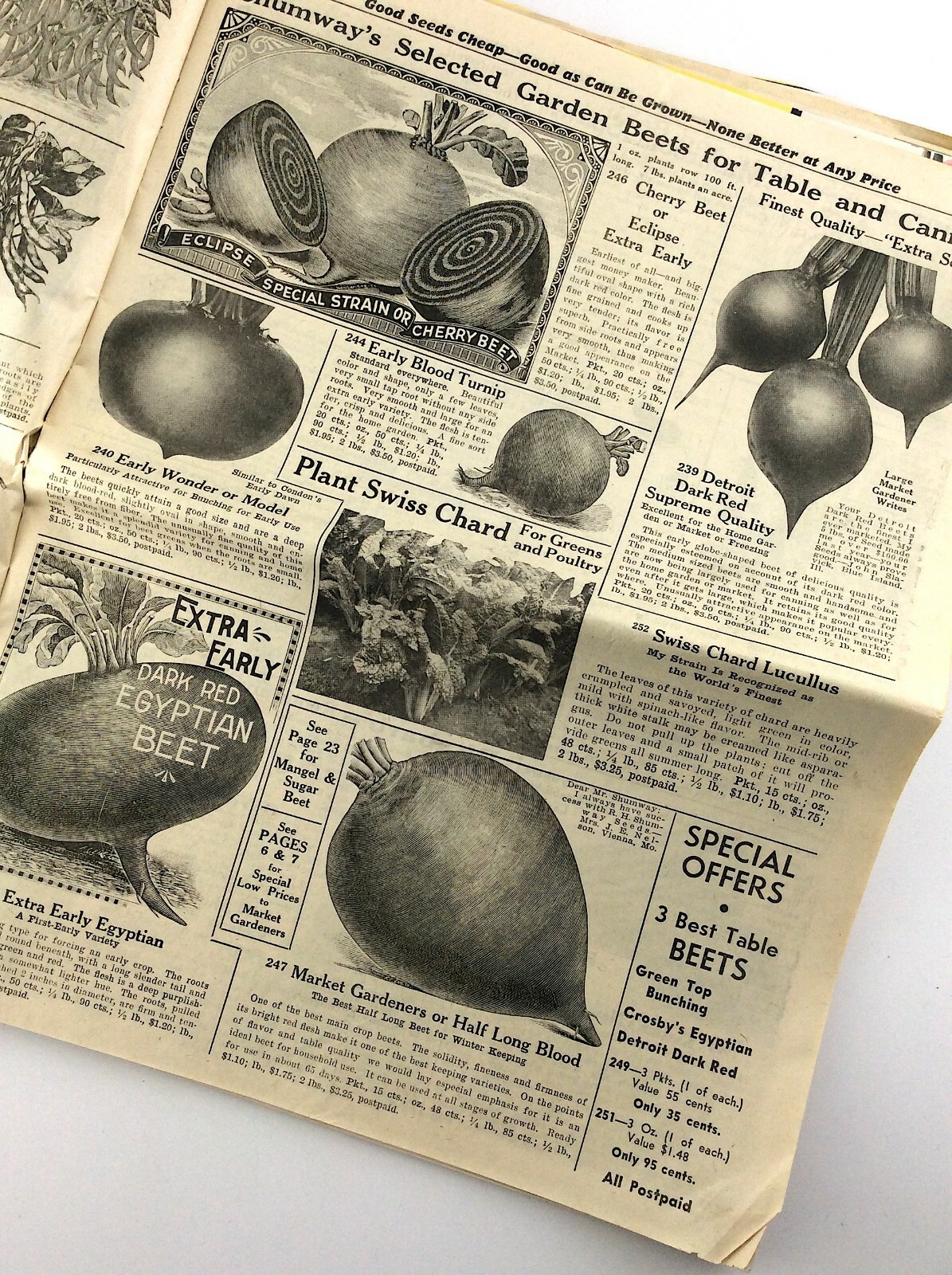 RH Shumway Seedsman Rockford Illinois 1961 Plant Garden Seed Catalog Q381