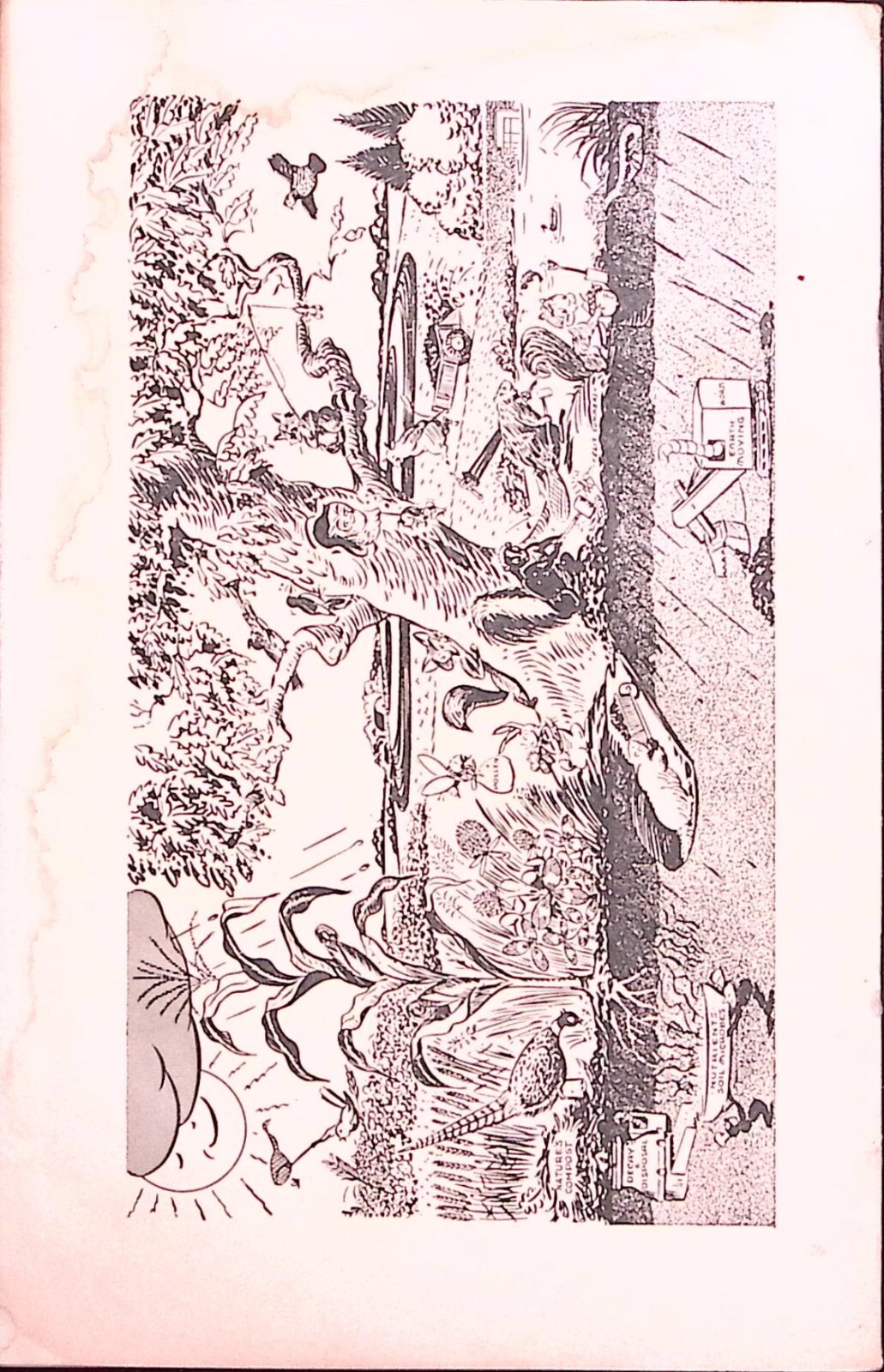 1969 US DEPARTMENT OF AGRICULTURE MAKING LAND PRODUCE USEFUL WILDLIFE BOOKLET Z9