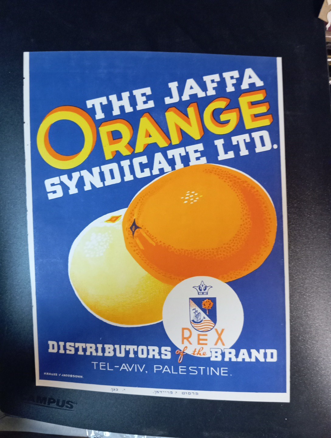 palestine jaffa orange judaica