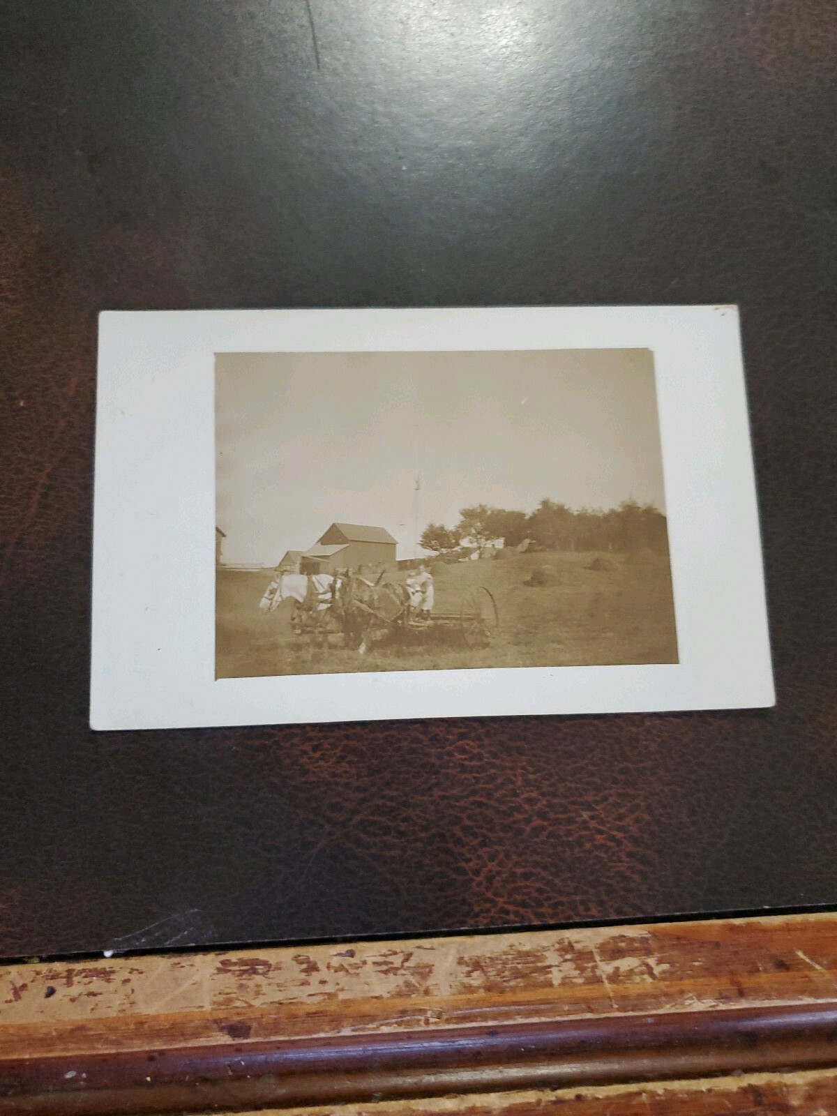 Vntg 1890-1900 Farming RPPC Agricultural Postcard