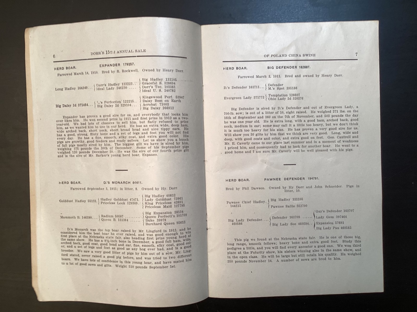 1913 Poland China Sows Sale Catalogue, Henry Dorr, Marcus IA