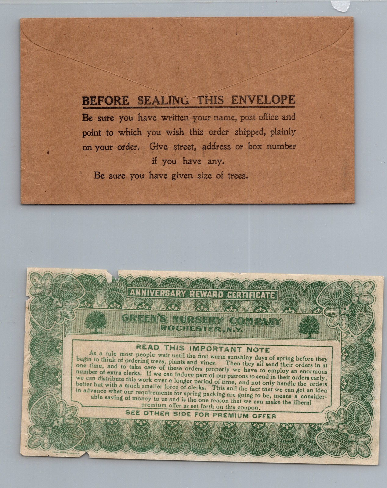 1917 Green&rsquo;s Nursery Co. Rochester New York Reward Coupon Advertisement Mail