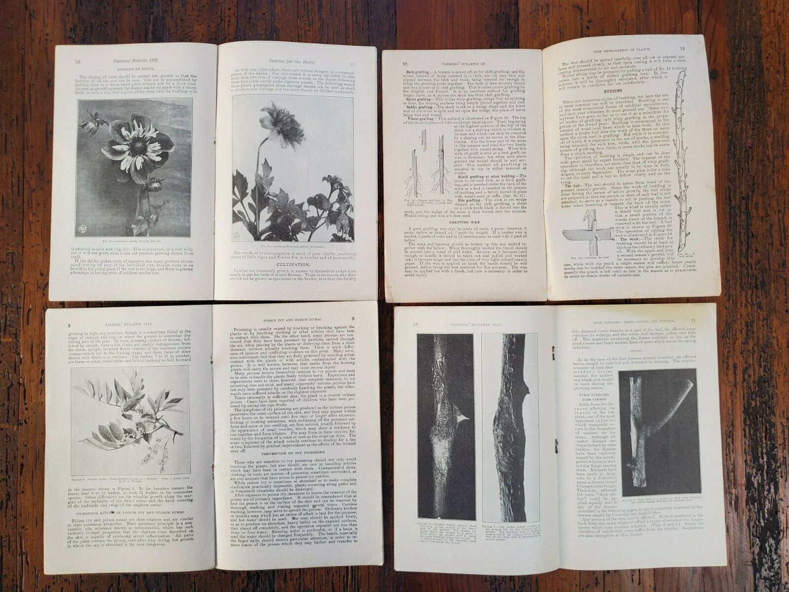 US Vintage Department of Agriculture Farmers Bulletin Lot of 4 Different (DA12)